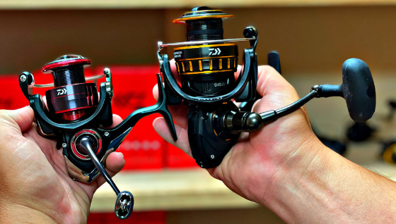 best reel size for inshore fishing What Size of Reel for Inshore Fishing?